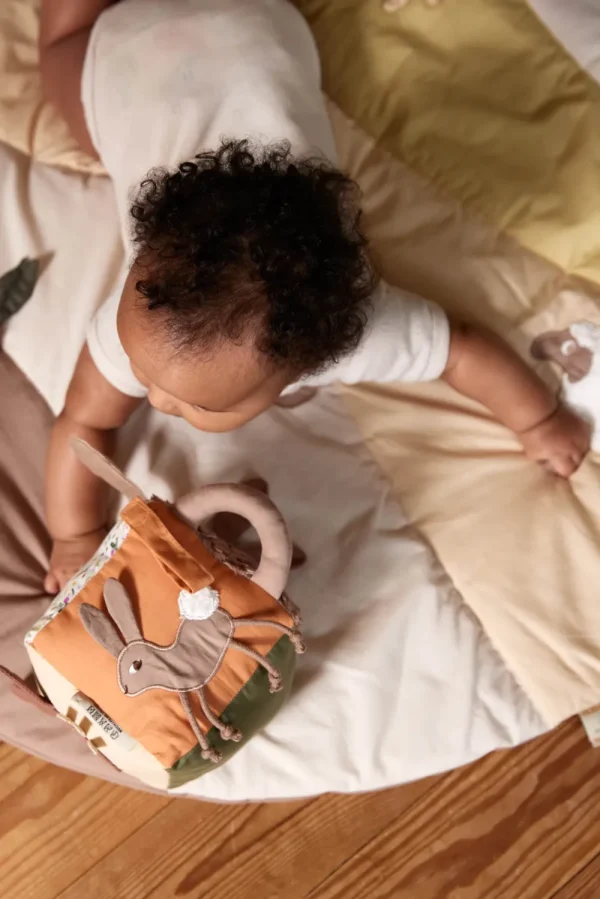 Kids FILIBABBA Baby Toys>Activity cube, Carrot Thief –