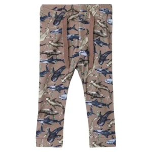 Kids/BOY Name It Baby Boy>Baby Pants Shark –
