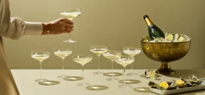 Eva Solo Kitchen>Champagne glass Coupe 200 ml –