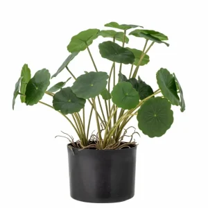 Bloomingville Flowers>Copper Plant, Green, Artificial Flowers –