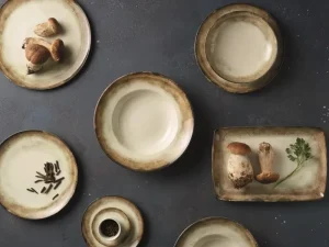 Nordichaus Kitchen>Dinner plate set, Earth 12 pieces
