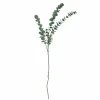 Bloomingville Flowers>Eucalyptus Stem, Green, Artificial Flowers –