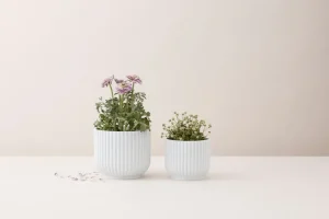 Lyngby Porcelain Ceramics And Vases>Flowerpot Large, White – Lyngby