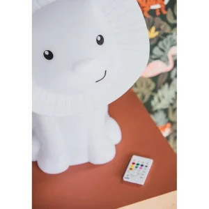 Kids Atelier Pierre Music Instruments | Kids Lamps>Hakuna Lion Wireless Speaker & Light –
