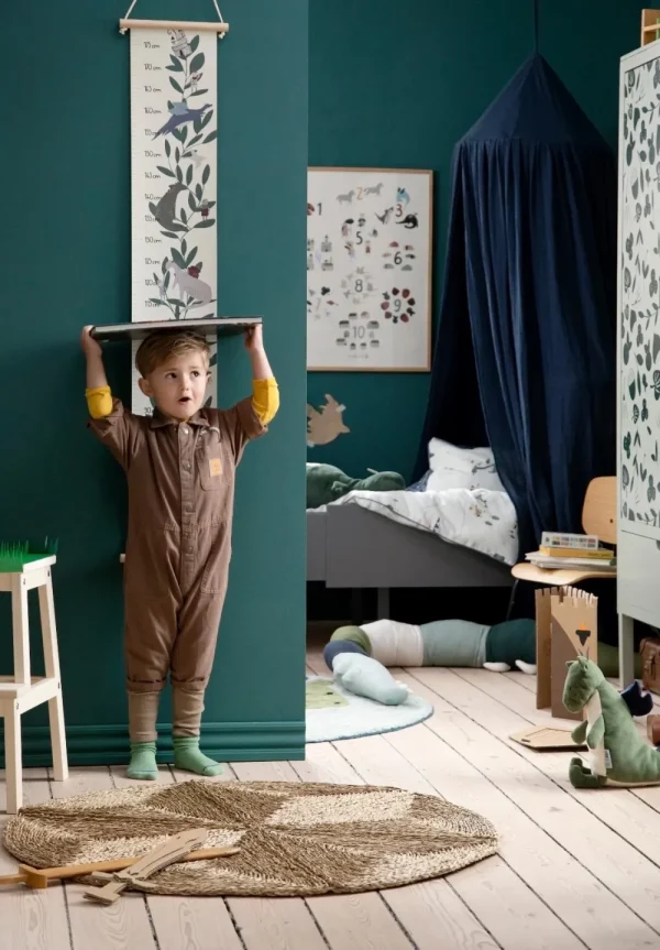 Kids Sebra Interior Wall Rugs>Height measurement, Dragon Tales – Sebra