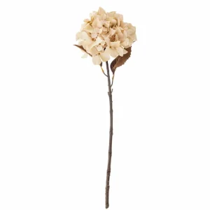 Bloomingville Flowers>Hydrangea Stem, Nature, Artificial Flowers –