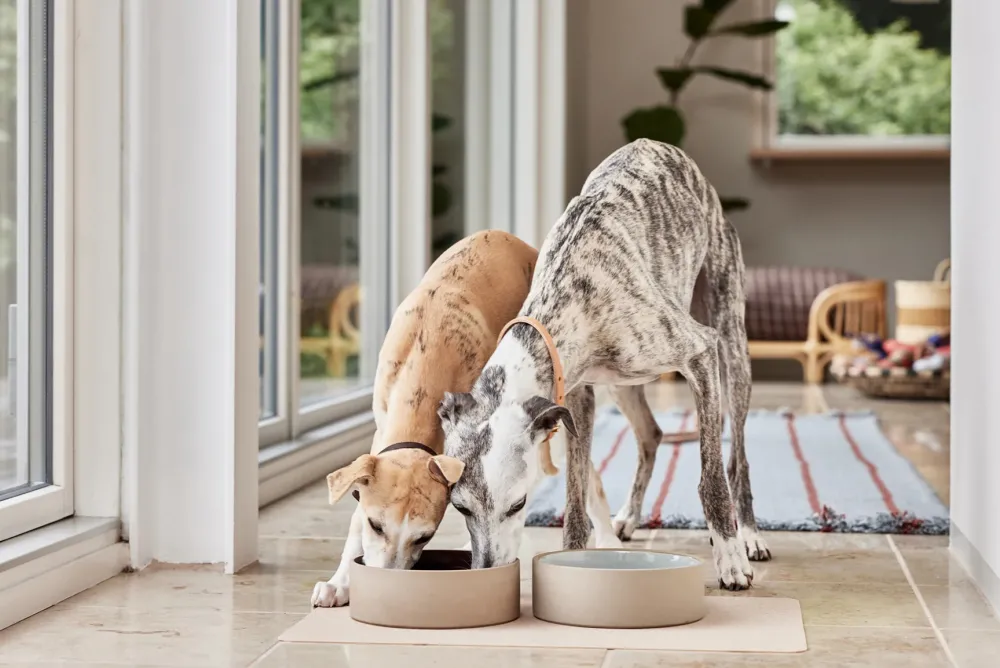 koko_dog_bowl_mat_sand__o_1.webp OYOY ZOO Pets>Koko Dog Bowl Mat, Sand –
