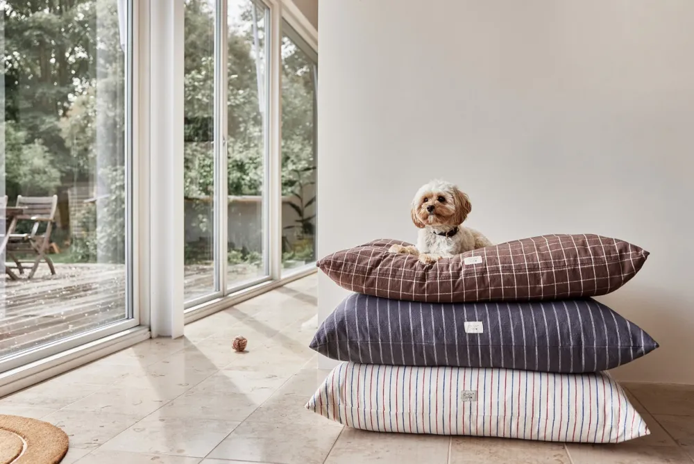 kyoto_dog_cushion_medium__2.webp OYOY ZOO Pets>Kyoto Dog Cushion Medium, Mellow – OYOY