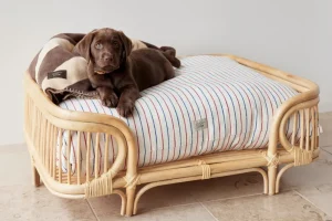OYOY ZOO Pets>Kyoto Dog Cushion Small, Mellow – OYOY