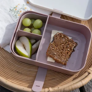 Kids Sebra Interior Dinnertime>Lunchbox with silicone strap, Teeny Toes – Sebra