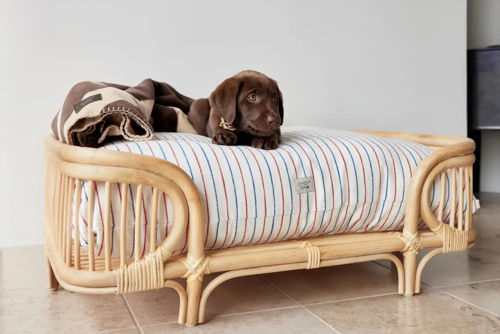 otto_dog_bed_large__oyoy_1.webp OYOY ZOO Pets>Otto Dog Bed, Large – OYOY