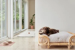 OYOY ZOO Pets>Otto Dog Bed, Medium – OYOY