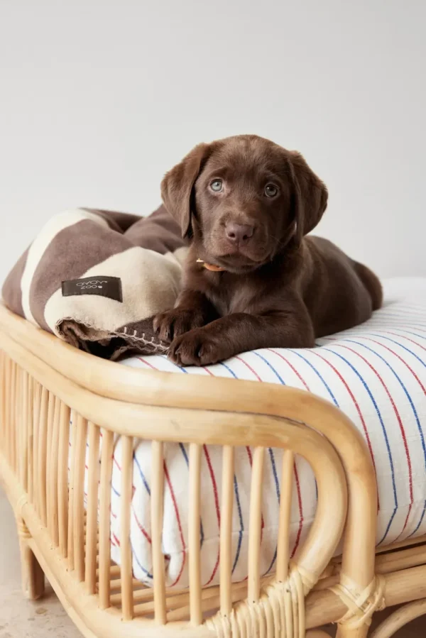 OYOY ZOO Pets>Otto Dog Bed, Medium – OYOY