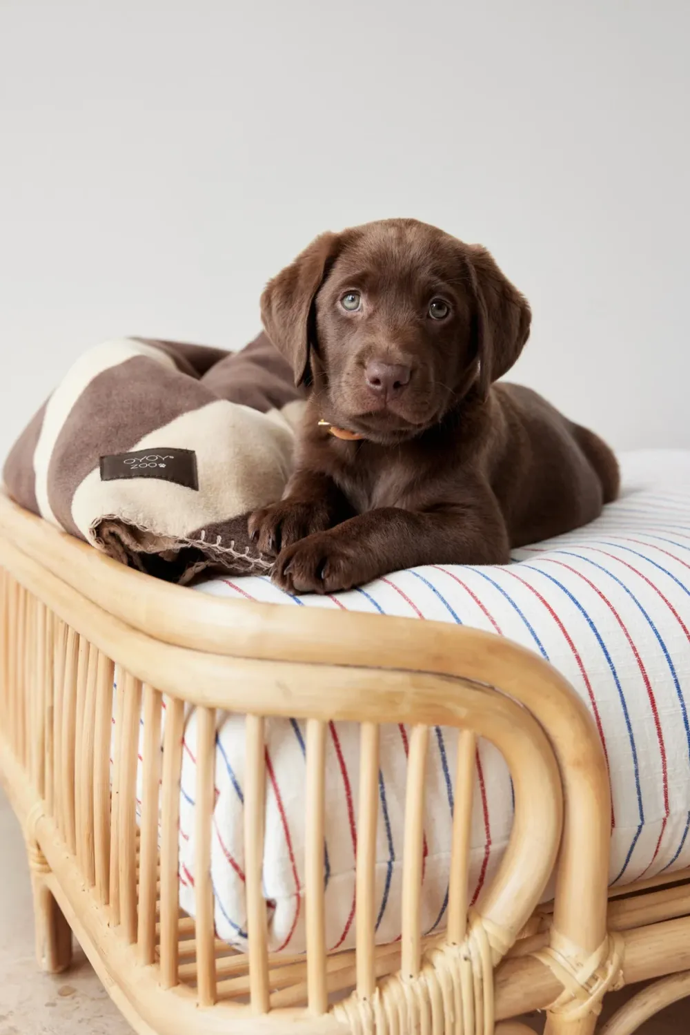 otto_dog_bed_medium__oyoy_2.webp OYOY ZOO Pets>Otto Dog Bed, Medium – OYOY