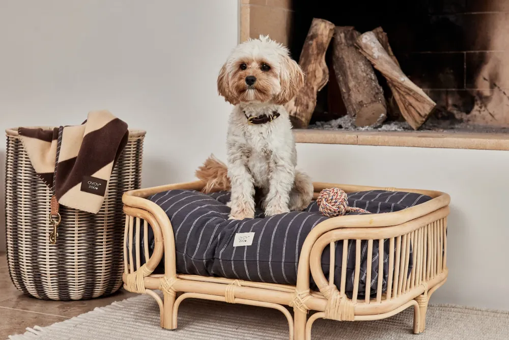 otto_dog_bed_small__oyoy_1.webp OYOY ZOO Pets>Otto Dog Bed, Small – OYOY