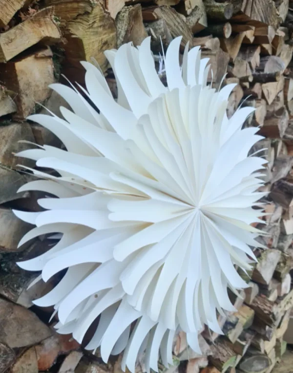 Bloomingville Christmas Decorations | Birthday Decorations>Pax Star, White Paper Medium –