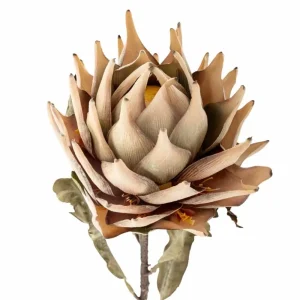 Bloomingville Flowers>Protea Stem, Nature, Artificial Flowers –