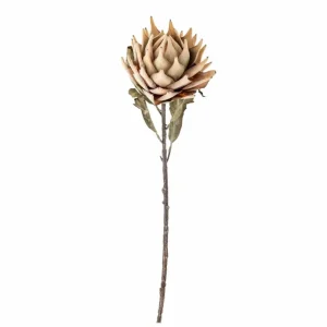 Bloomingville Flowers>Protea Stem, Nature, Artificial Flowers –