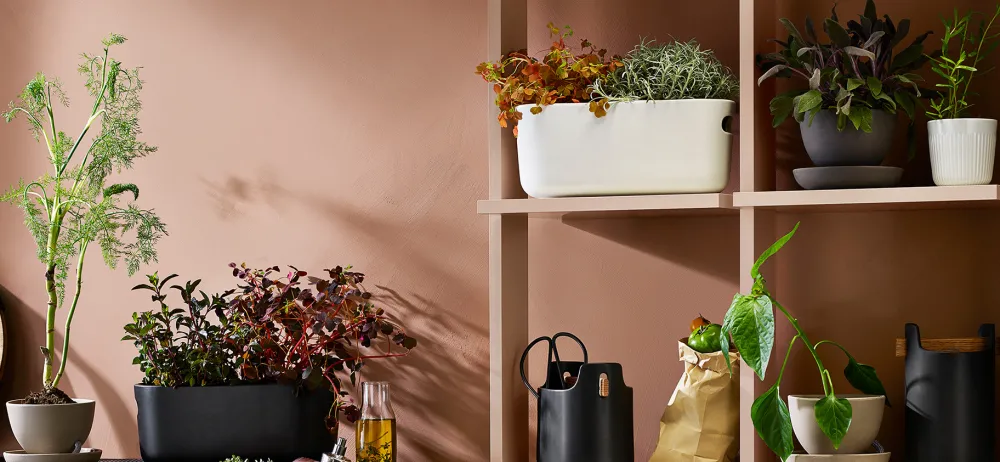selfwatering_herb_organis_1.webp Eva Solo Ceramics And Vases | Outdoor>Self-watering Herb Organiser, White –