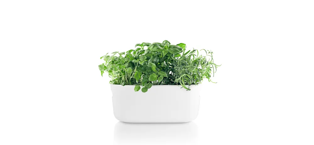 selfwatering_herb_organis_3.webp Eva Solo Ceramics And Vases | Outdoor>Self-watering Herb Organiser, White –