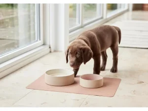 OYOY ZOO Pets>Sia Dog Bowl Medium Rose – OYOY