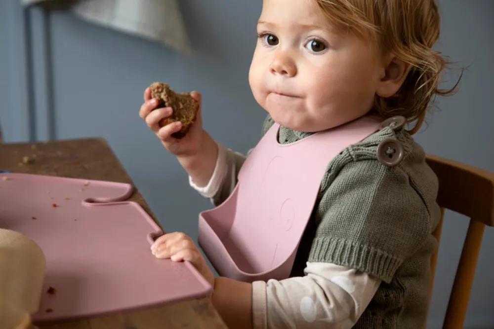 silicone_bib_set__pcs_blo_2.webp Kids Sebra Interior Dinnertime>Silicone bib set 2 pcs. blossom pink – Sebra
