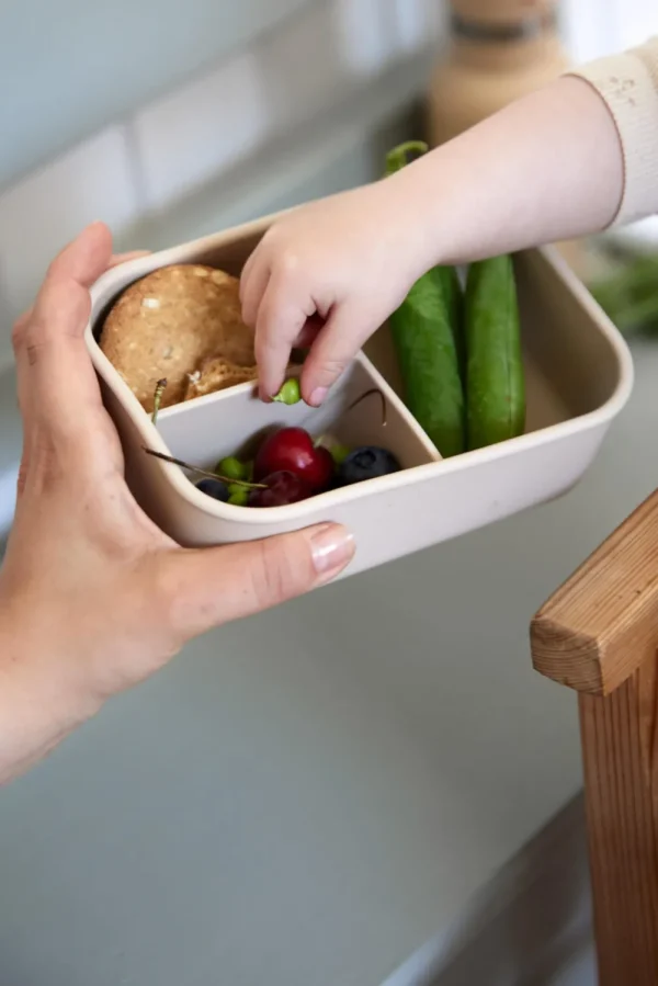 Kids FILIBABBA Dinnertime>Silicone lunchbox, Carrot Thief –