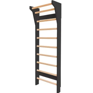 Kids Fitwood of Scandinavia Wooden Toys | Balance Toys>Taimi Mini Wall Bars, Black / Birch – Fitwood