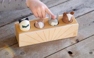 Kids Sebra Interior Wooden Toys | Christmas Toys>Wooden pop up toy, animals, Woodland – Sebra