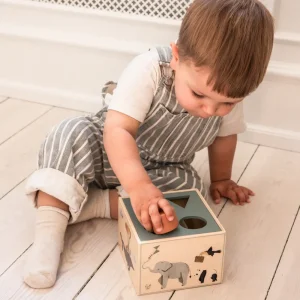 Kids Sebra Interior Wooden Toys | Games And Puzzles>Wooden shape sorter, World of Sebra – Sebra