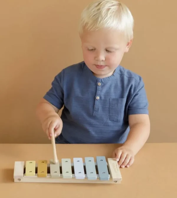 Kids Little Dutch Wooden Toys | Music Instruments>Xylophon blue –